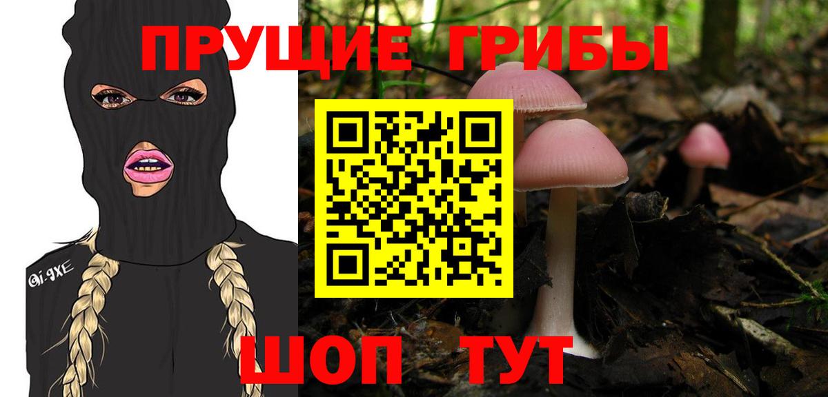 Псилоцибиновые грибы Magic Shrooms  Галлюциногенные грибы Magic Shrooms  Хасавюрт  Вход с VPN 